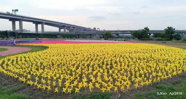(新北板橋)「蝴蝶公園」地景花海 --- 初夏浪漫風情畫，親子出遊好去處! 