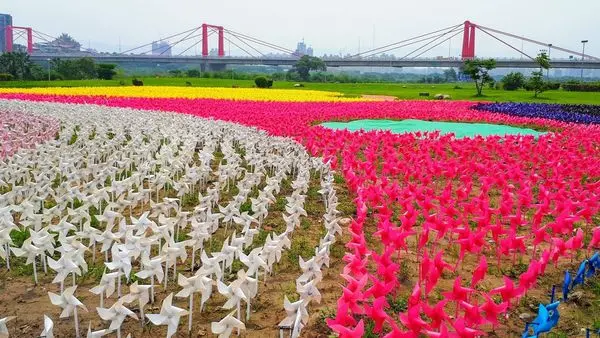 【板橋蝴蝶公園/蝴蝶公園觀景平台】2018新北最熱門的打卡景點/彩色風車花海/花花世界預見幸福的彩蝶光廊
