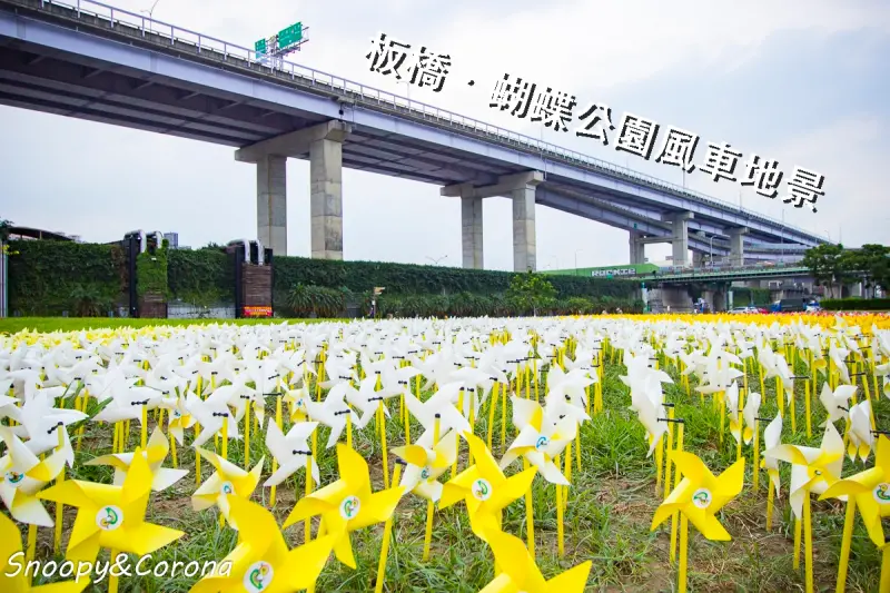 板橋蝴蝶公園／江翠礫間水岸公園～9萬支彩色風車打造壯觀地景藝術與光雕蝴蝶