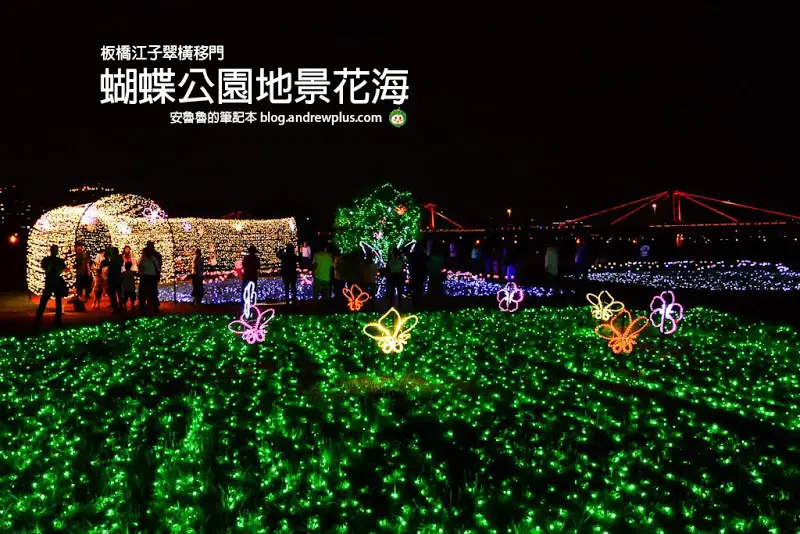 蝴蝶公園地景花海-板橋江子翠橫移門外水岸公園散步欣賞光雕夜景+9萬支風車花海地景