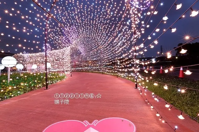 2019蝴蝶公園地景花海，鶯歌蝶舞閃亮到06/02止。