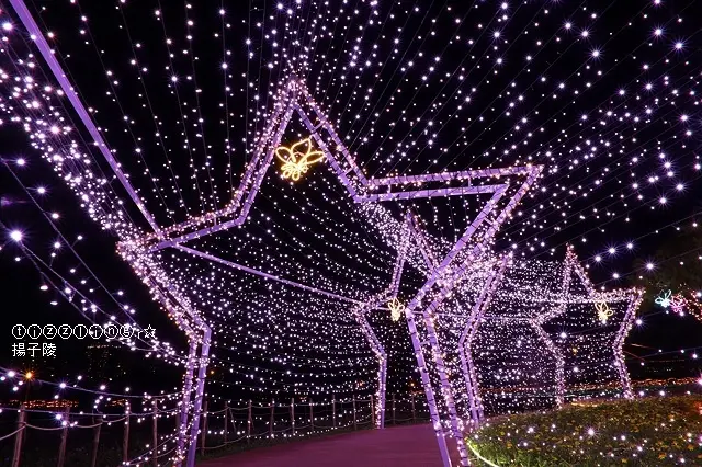 2020新北河濱蝶戀季，蝶舞情深&板橋蝴蝶公園地景花海，展出時間：2020/04/11～2020/05/17～