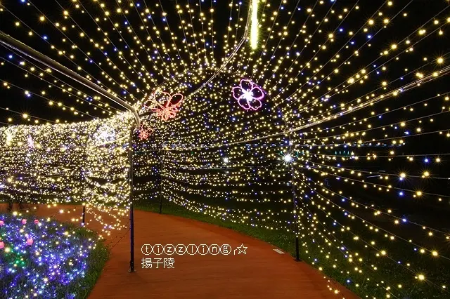 板橋。蝴蝶公園地景花海，白天九萬支風車轉圈圈，夜晚光雕蝴蝶地景秀～