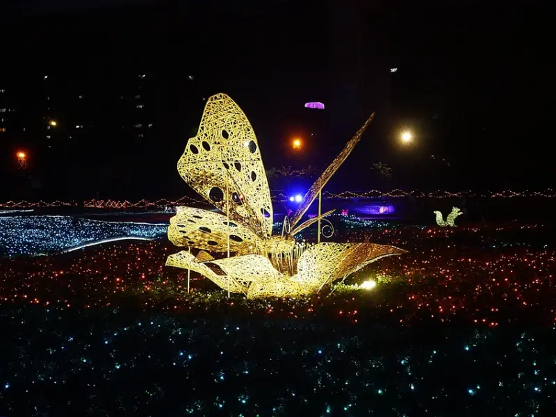 蝴蝶公園地景花海-板橋超美夜景，大片花海加上滿滿LED等光，超繽紛視覺感，還有超吸睛的光劍蹺蹺板可以玩