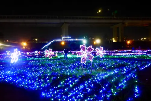 夜晚17萬支光雕幻影彩蝶，白天九萬隻繽紛風車，美翻的蝴蝶公園(新北市板橋區)