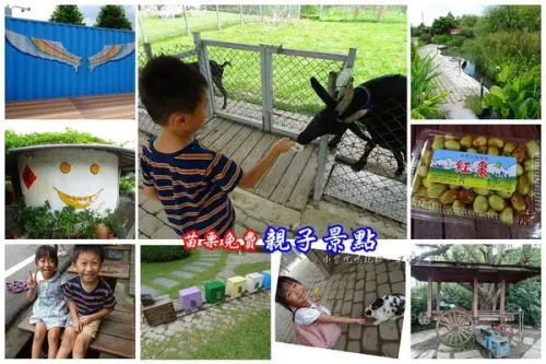 苗栗親子餐廳【棗莊】親子砂坑/可愛動物區/來杯咖啡吧/客家料理、紅棗創意料理、慶生、聚餐、家族旅行(公館免費景點)