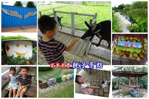 苗栗親子餐廳【棗莊】親子砂坑/可愛動物區/來杯咖啡吧/客家料理、紅棗創意料理、慶生、聚餐、家族旅行(公館免費景點)