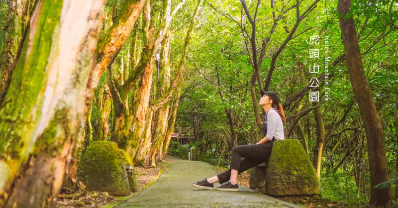 桃園人的後花園 鬧區裡的寧靜森林︱虎頭山公園