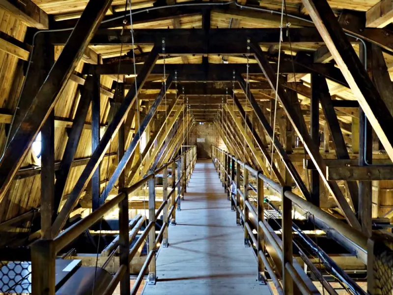 國定古蹟臺南地方法院：每日超限額的貓道導覽，帶你由建築頂端觀賞歷史最悠久的法院 - 進食的巨鼠