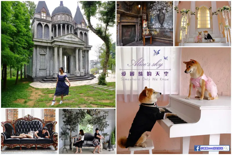 【遊。苗栗】愛麗絲的天空攝影基地〜結婚吧！專屬婚紗攝影景點，完成夢想中的婚禮！(限定開放)  