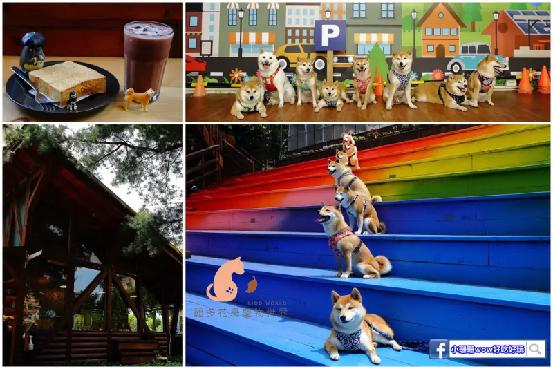 【遊。桃園】麗多花鳥寵物世界Lidoworld〜週末何處去？來趟森林浴吧，台灣唯一犬貓互動園區，溜小孩(毛小孩)的好地方！無料免費入場