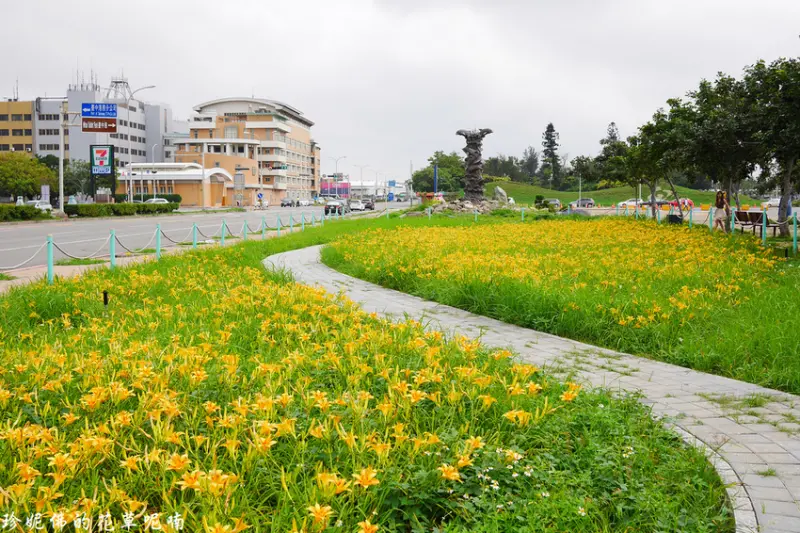 【台中-梧棲區】2019台中港旅客服務中心賞金針花