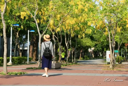 【台南景點】夏日的一抹美好，為藍天劃上最美的印記：阿勃勒花季        
      