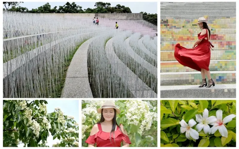 【苗栗。銅鑼鄉】臺灣客家文化館/夏雪地景藝術/漸層夢幻裝置藝術/半月池/好客公園/油桐花秘境/生態池(花況109/04/19)