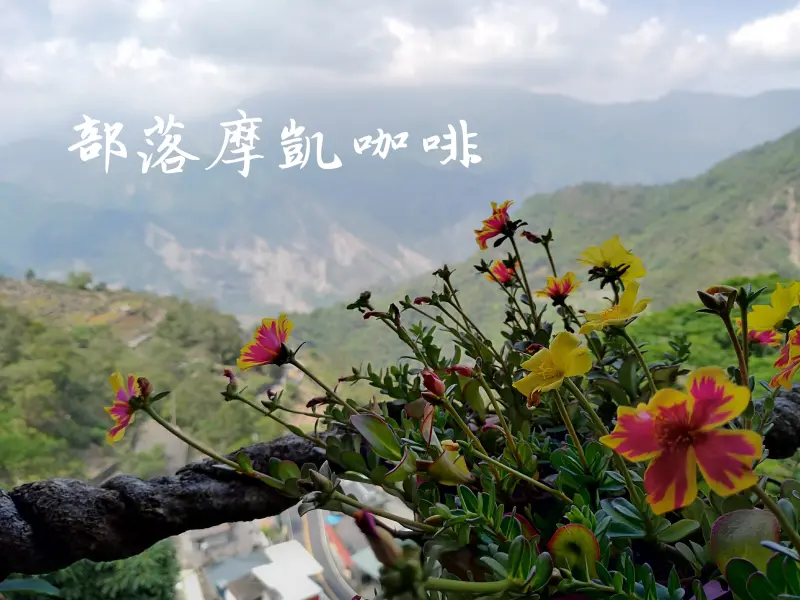 部落摩凱咖啡，給你霧台山上的美麗滋味