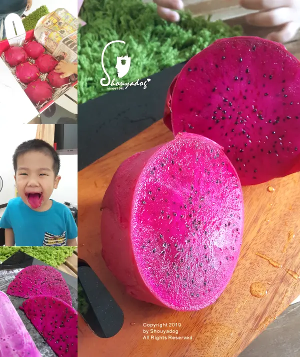 【小農直售】好吃的水果在這裡 來自嘉義大埔的香甜紅龍果 茶壺夫妻幸福農物