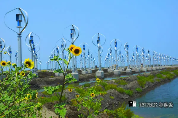 【彰化。芳苑】王功新景點。IG打卡熱門新景點。王功風力發電區。新造型風車。新寶國小附近景點。彰化縣旅遊景點