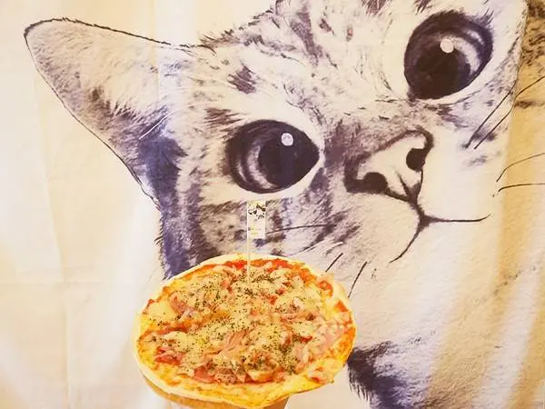 貓奴小姐-北投貓咪咖啡廳  店內滿滿貓咪元素  還有三隻可愛的店貓坐陪  待一整個下午都不成問題              