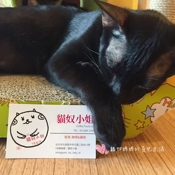【貓奴小姐。咖啡】影片多／療癒系餐廳，溫馨平價有貓陪／近北投捷運＠貓奴媽媽的育兒生活