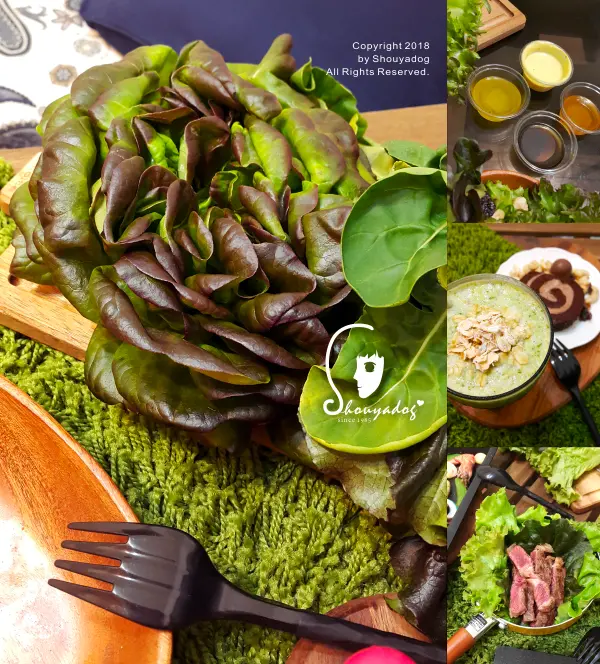 【生菜專賣】懶人蔬食的六種節奏 免洗菜的六種好心情 水耕蔬菜 蔬食樂SoothRoad