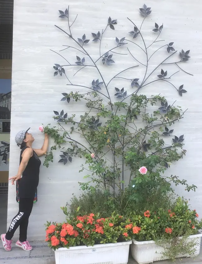 虎尾旅遊景點 [澄霖味道森林館]免費參觀˙受益良多