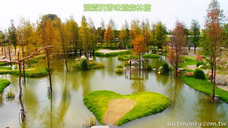 澄霖沉香味道森林館｜落羽松季節將至,雲林最美景點推薦 - 達人Emily的播報台