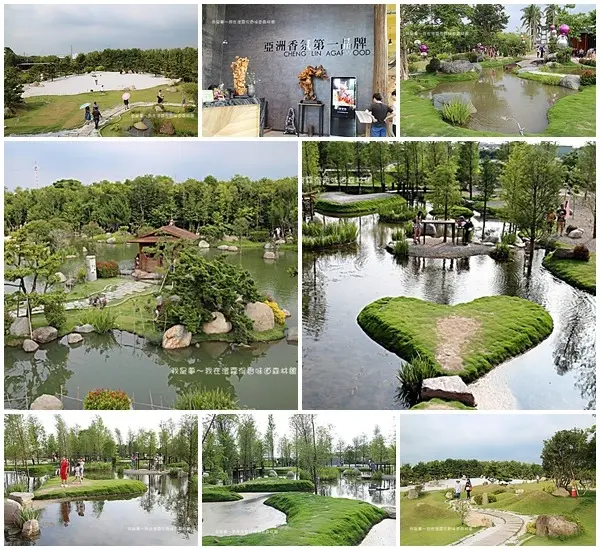 『雲林。澄霖沉香味道森林館』～日式庭園造景／落羽松小秘境／拍照打卡熱點／免費參觀