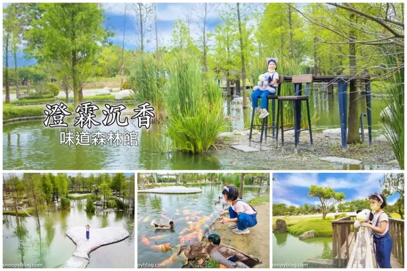 【雲林景點】虎尾景點｜澄霖沉香味道森林館～台版兼六園打卡必拍愛心景觀池，銅板價10元餵雞餵鴨餵魚，還有免費沙坑可玩耍適合親子同遊