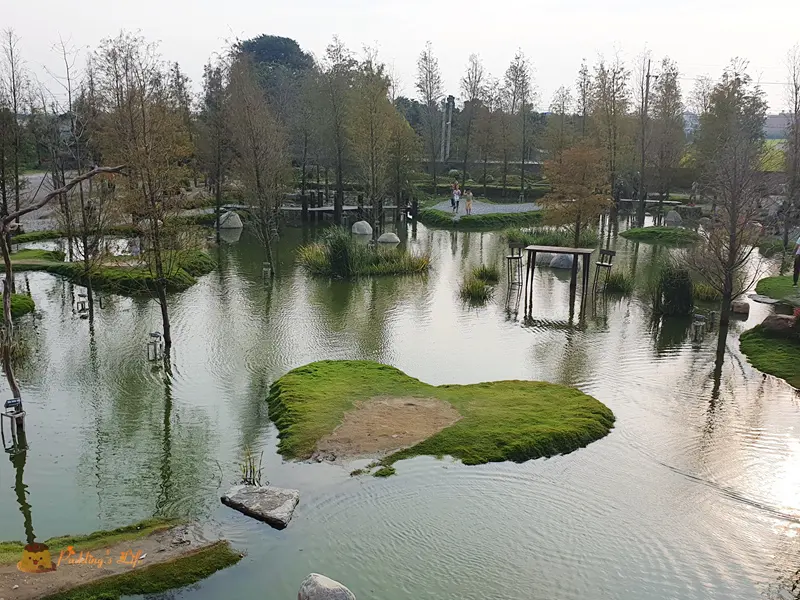 【雲林旅遊】虎尾免門票景點落羽松愛心島《澄霖沉香味道森林館》台版兼六園日式庭園造景