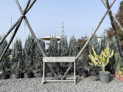 [冬，彰化] 在田野間放飛沉悶已久的靈魂 - 小田生活
