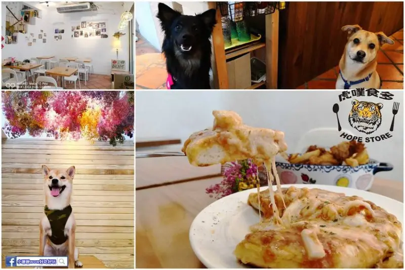 【食。台北】虎噗食多 • HOPE STORE〜師大路寵物友善餐廳。巷弄裡老房子美式餐廳，現做美味平價享受！