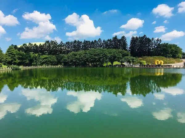 桃園景點【志清湖/拉亞漢堡】林口體育大學平價貨櫃屋景觀咖啡廳/城巿近郊擁有寬闊視野運動健行的好去處