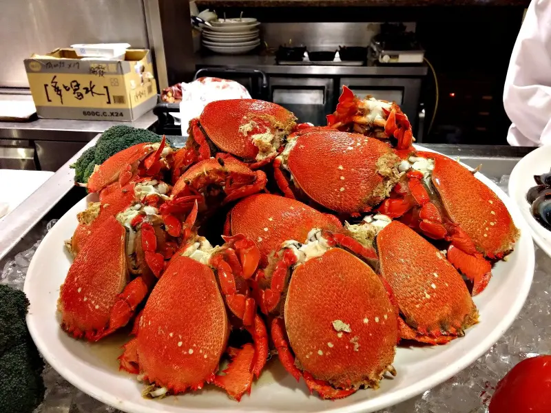 台北/六福客棧＆福園/百匯自助式吃到飽