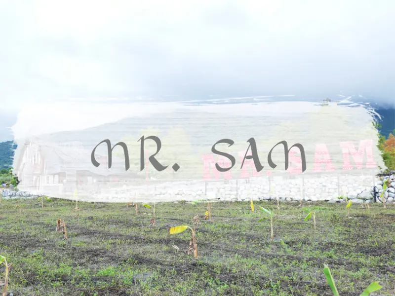 FOOD｜花蓮壽豐—Mr. Sam - 山姆先生咖啡館｜帶你走進電影中的童話故事屋 花蓮人氣拍照景點