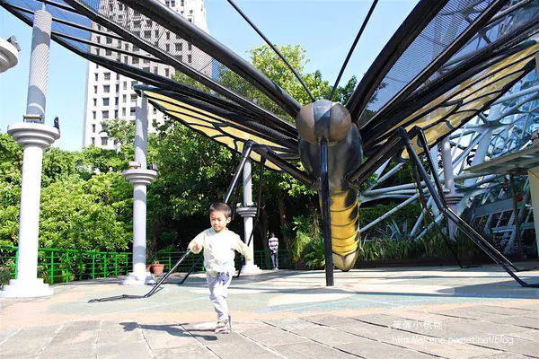 【台中。北區】走進科博館-植物園的熱帶雨林溫室，有如置身在雨林植物的美麗世界。
