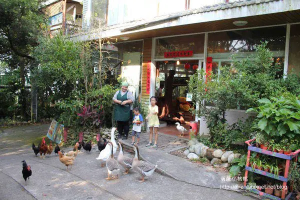 【台中石岡】羅望子生態農場。餵小動物吃飯.撿雞蛋.抓蝴蝶.種子卡片DIY.更酷的是還有鵝保鑣，這一趟難得的農場生態教育是孩子一輩子都忘不了的有趣體驗。