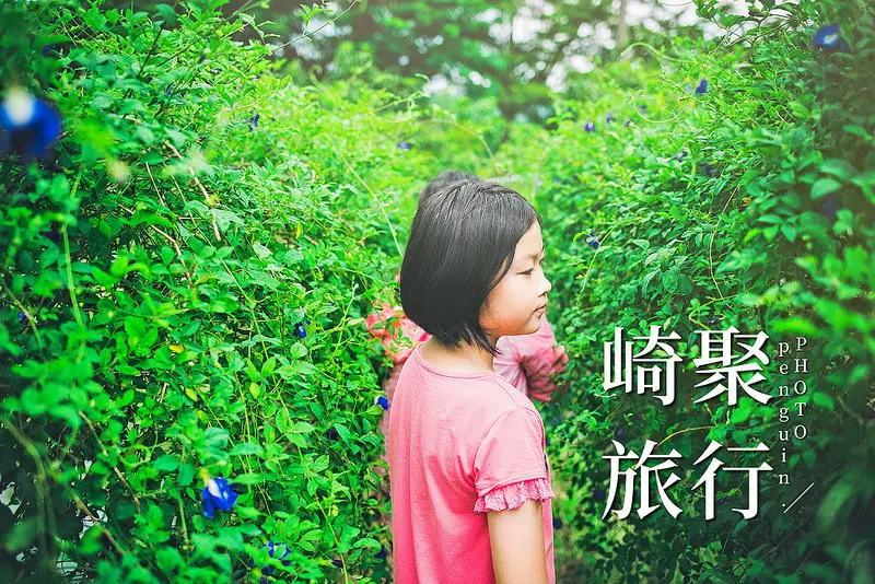 台南．龍崎．台南親子遊攻略．台南一日遊．崎聚．農創小旅行．走訪悠悠山林間的龍崎景點