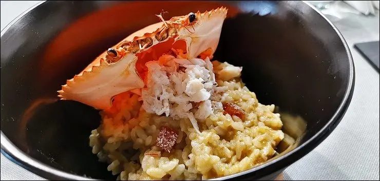 《澳門美食之旅》在地人熱愛的富記粥品、融合澳門手信的創義料理西洋菜餐館，感受澳門味！