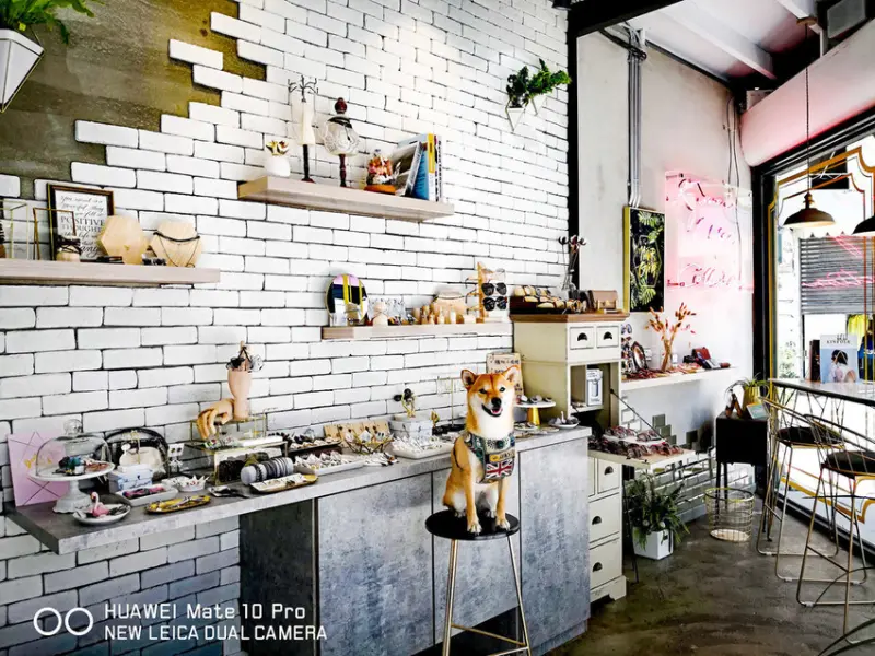 【食。新竹】K.more - Cafe〜乾燥花結合咖啡廳少女的拍照聖地！浪漫氛圍，網美IG都來這間！