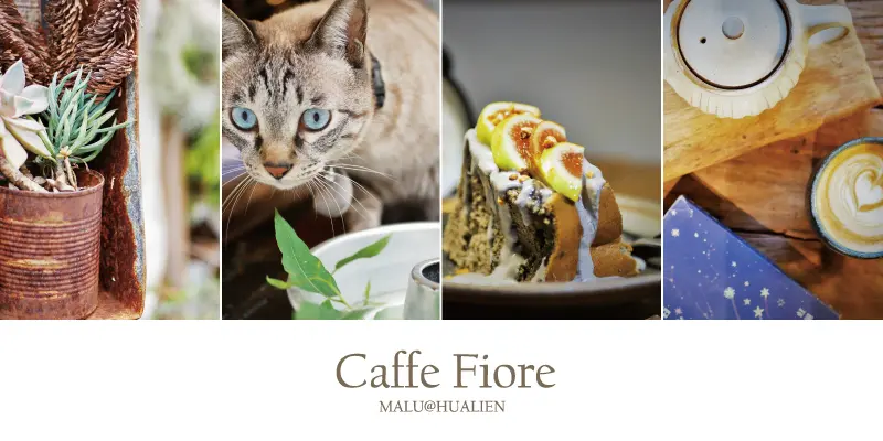 《花蓮咖啡》二訪花蓮必去日式老屋貓貓咖啡館Caffe Fiore 珈琲花