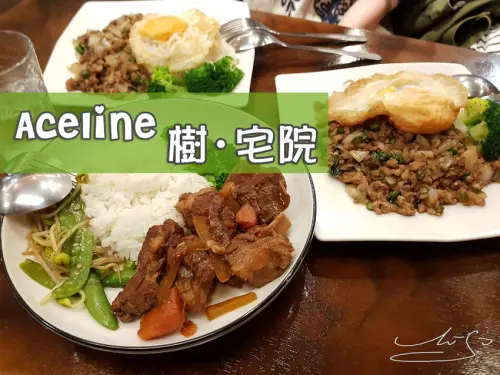 【中山  南京復興】Aceline樹 ▪ 宅院 ➤ 大樹裡的泰式料理 ~ 超好吃打拋豬!!! 網美拍照點~店內竟然有法國巴黎的愛牆！