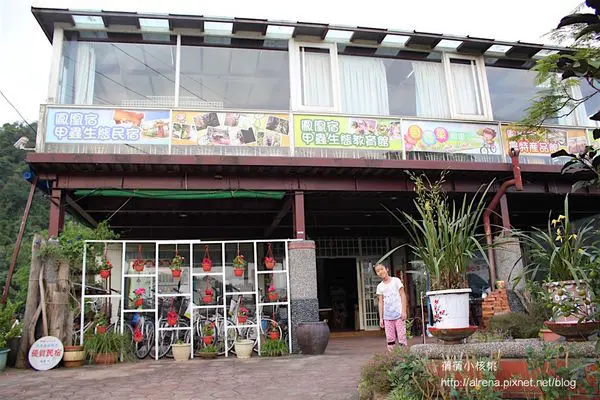 【宜蘭。員山】親子生態之旅-鳳凰宿甲蟲生態民宿。帶著孩子來一趟夜間觀察探險導覽/甲蟲生態教育教室/漂流木吊飾DIY......是一輩子也忘不了的神奇的生態之旅。