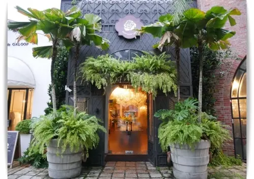 森林系「BoboRose Coffee」在花園裡享用泰式料理 ❤