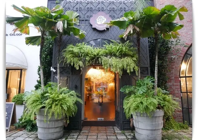 森林系「BoboRose Coffee」在花園裡享用泰式料理 ❤