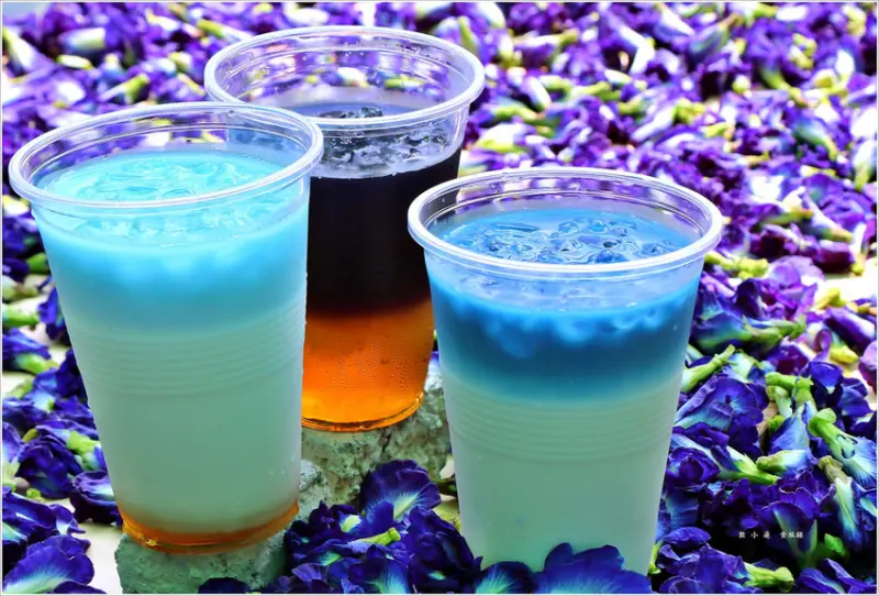 【台南‧龍崎】小燕子蝶豆花‧台南私房景點 親子一日遊 需先預約才能體驗採花樂趣