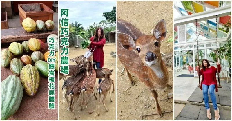 【屏東景點】阿信巧克力農場．巧克力DIY、餵食梅花鹿、超美彩虹玻璃屋! 