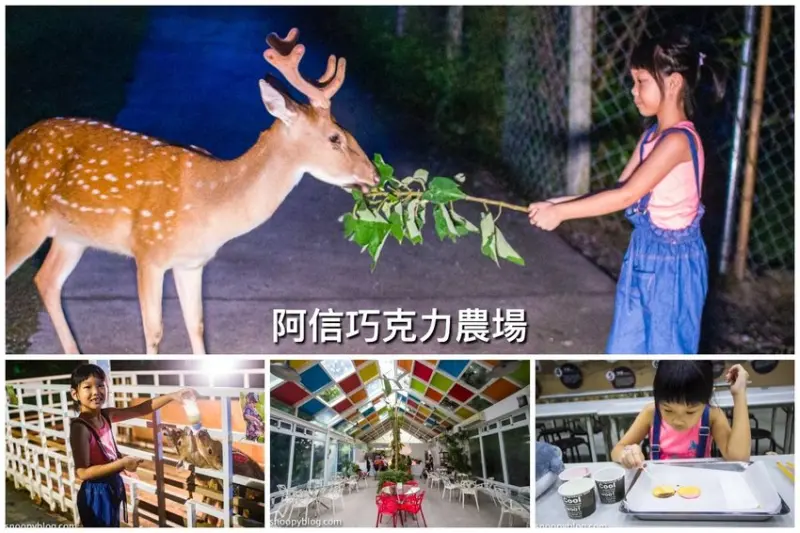 【屏東景點】墾丁親子景點｜阿信巧克力農場～巧克力生態DIY、夜探梅花鹿，餵小鹿喝奶，好玩有趣的親子生態體驗