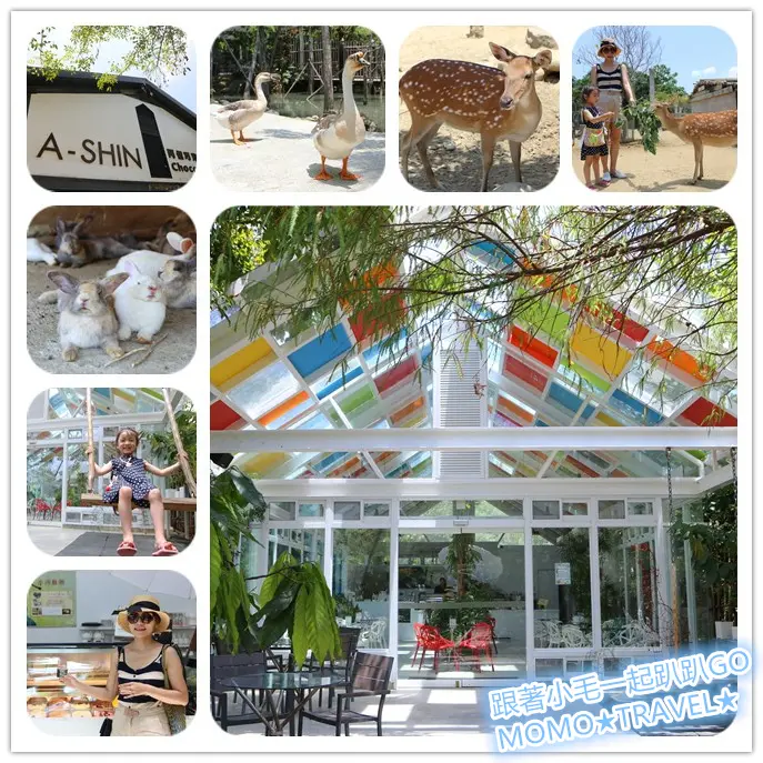 屏東旅遊-阿信巧克力農場 梅花鹿丨玻璃屋丨露營 不只是可可園的趣味農場!!