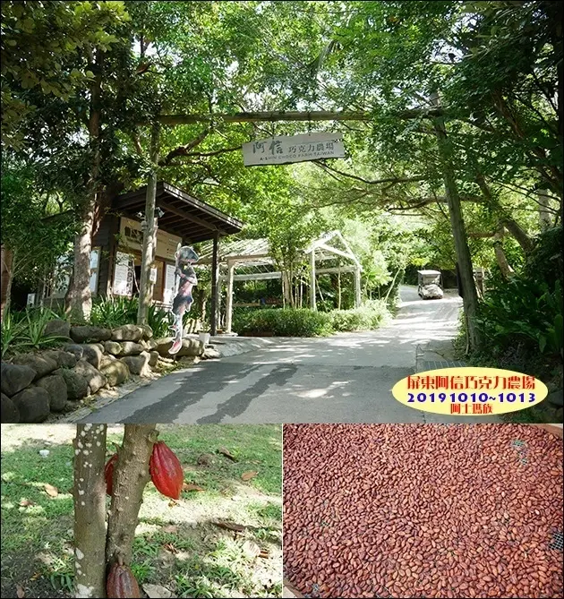 【屏東景點】阿信巧克力農場(寵物友善農場)，可可生態導覽、巧克力DIY、近距離體驗小鹿餵食趣，還有...小心食人族阿士瑪出現在身邊。屏東旅遊 帶著寵物去旅行