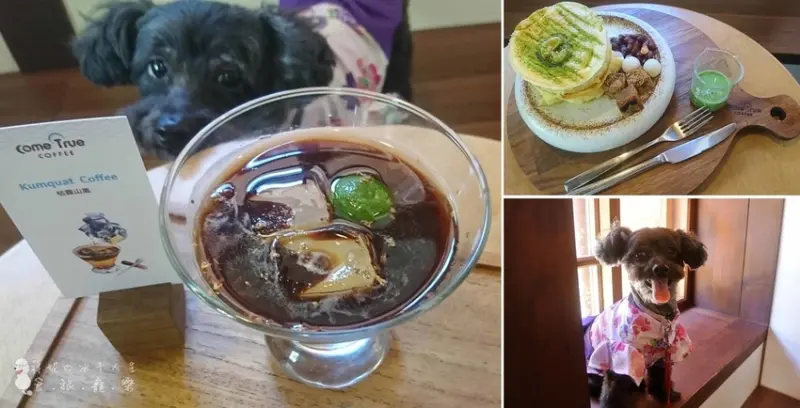 成真咖啡 桃園77藝文町 秒飛京都 濃濃日本風 必吃舒芙蕾 桃園限定雲霧咖啡 寵物友善